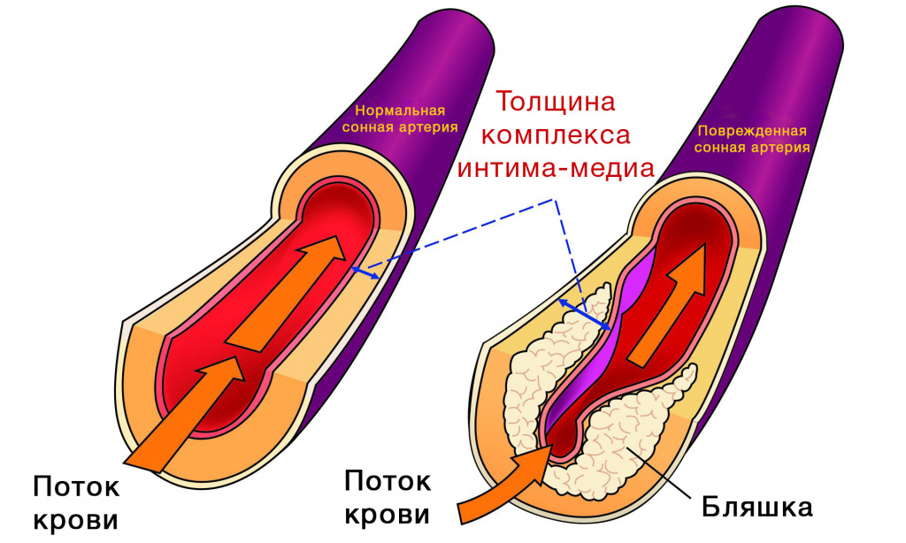 ВКИМ.jpg ВКИМ.jpg