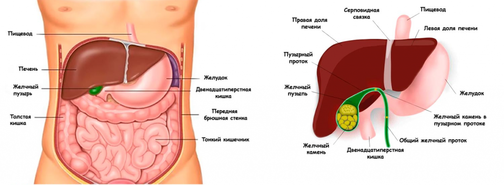 УЗИ печени-fotor-20250527114620.png УЗИ печени-fotor-20250527114620.png